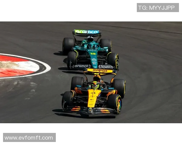 中国赛车队获亚洲耐力赛季军,展现团队实力