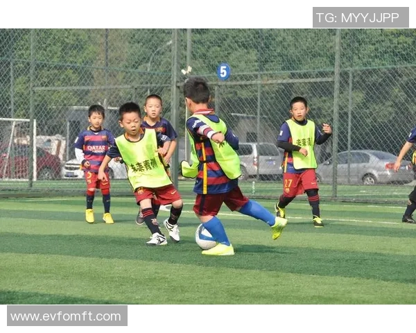 朴恒绪回归担任特别顾问引热议再掀足球未来发展讨论